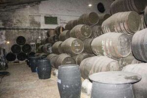 Producción de manzanilla