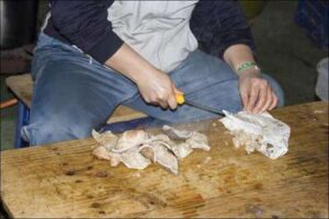 Elaboración del guiso de zapatitos