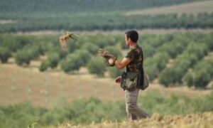 La Cetrería en Andalucía