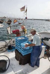 Pesca con artes menores