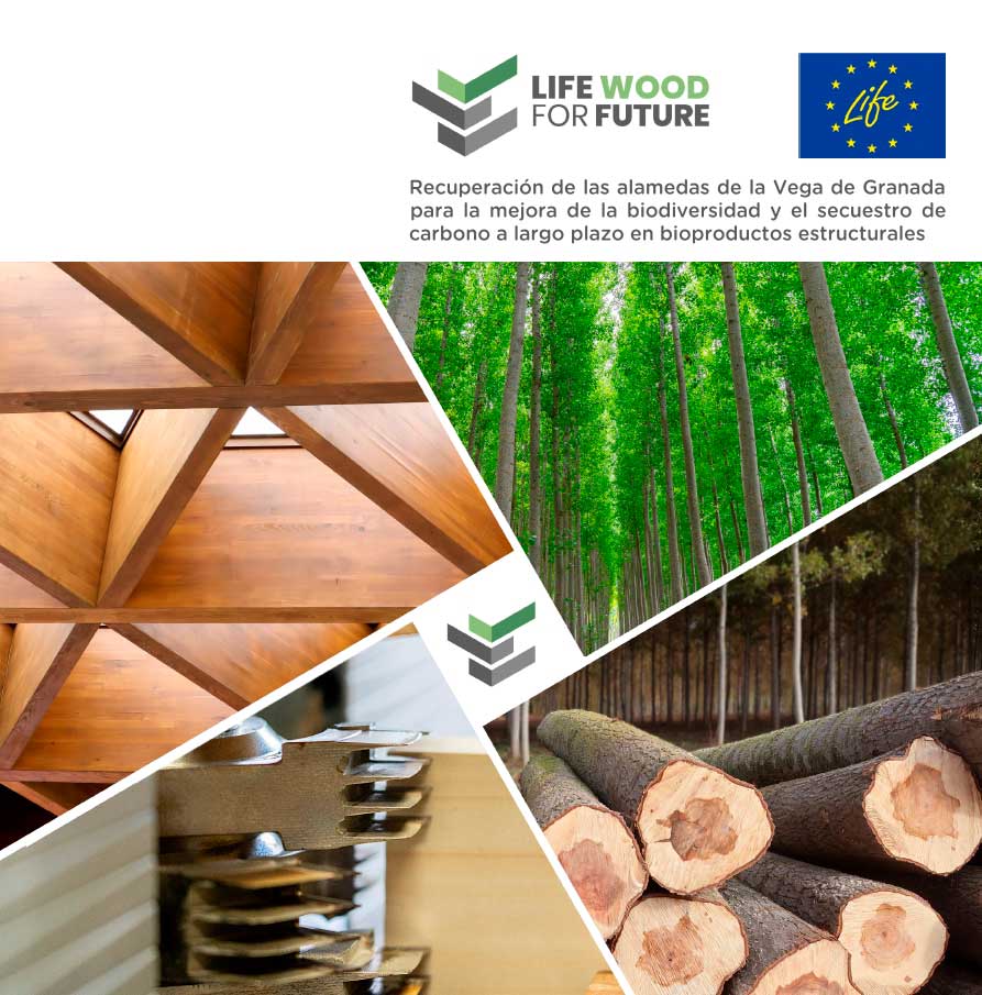 Dossier “LIFE Wood for Future”