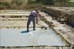 Salinas de Interior Buena Vista