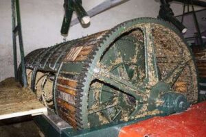 Producción de moscatel en Chipiona