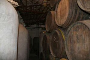 Producción de vino en las Bodegas Gómez Nevado