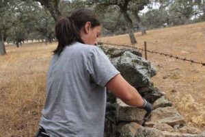 Construcción de paredes de piedra seca