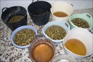 Elaboración de peras en almibar