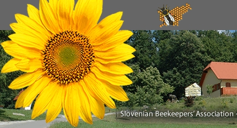 logo_beekeepers