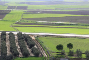 Paisaje agrario de Gerena