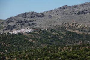 Paisaje agrario del Alto Genal