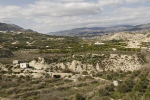 Paisaje agrario de Bentarique