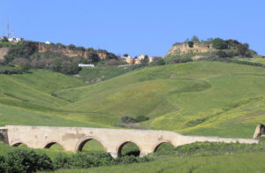 Paisaje agrario de Carmona