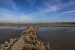 Paisaje agrario de Isla Mayor