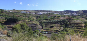 Paisaje vitivinícola de Ohanes