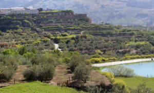 Paisaje agrario de Pegalajar