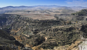 Paisaje agrario del Valle de Lecrín