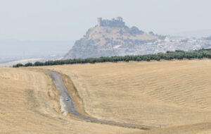 Paisaje de Almodóvar del Río