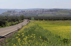 Paisaje de Baños de la Encina