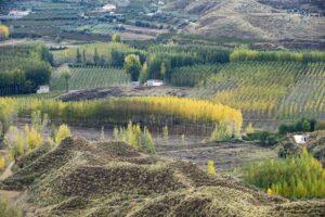 Paisaje de Guadix y Purullena