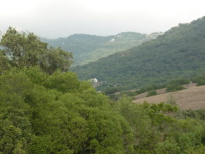 Paisaje molinero de Patrite