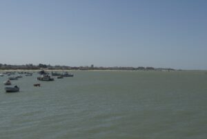 Paisaje de la desembocadura del Guadalquivir