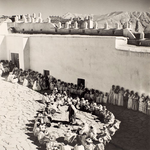 الأمازيغ