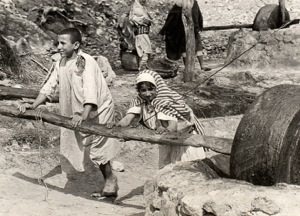 رجال ونساء من الريف